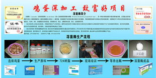 洞悉食品飲料行業(yè)新機(jī)遇 精準(zhǔn)求購(gòu)與技術(shù)轉(zhuǎn)讓的策略指南